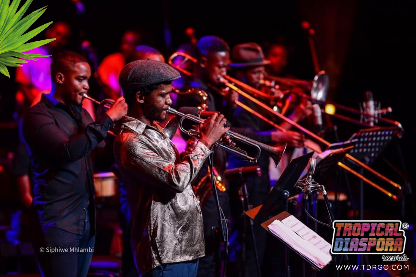 Amandla Freedom Ensemble, Mandla Mlangeni