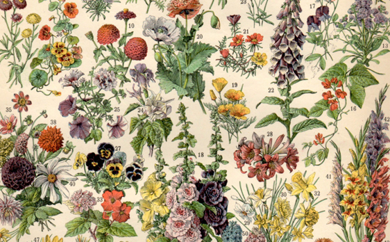 Dr.Sócrates  @ Kegelbahn ★ TD® Disqueira Tropical VOL.2 03/03/2017 @ 22:00 - 04/03/2017 @ 05:00 UTC+1