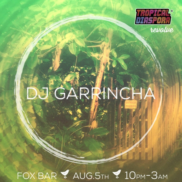 Dj Garrincha @ Fox Bar Chicago ★ TD® Revolve VOL.15 05/08/2017 @ 10:00 - 06/08/2017 @ 03:00 UTC+1