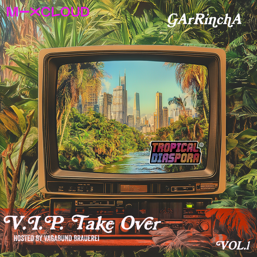 V.I.P (Vagabunds In Power) Take Over by Dj GArRinchA Vol.1