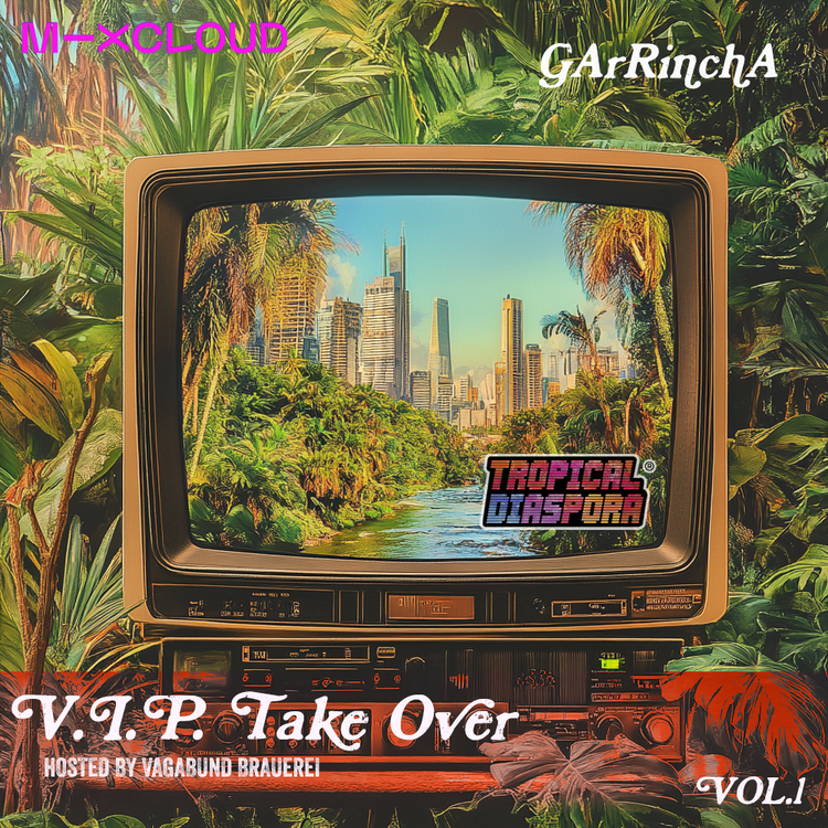 V.I.P (Vagabunds In Power) Take Over by Dj GArRinchA Vol.1