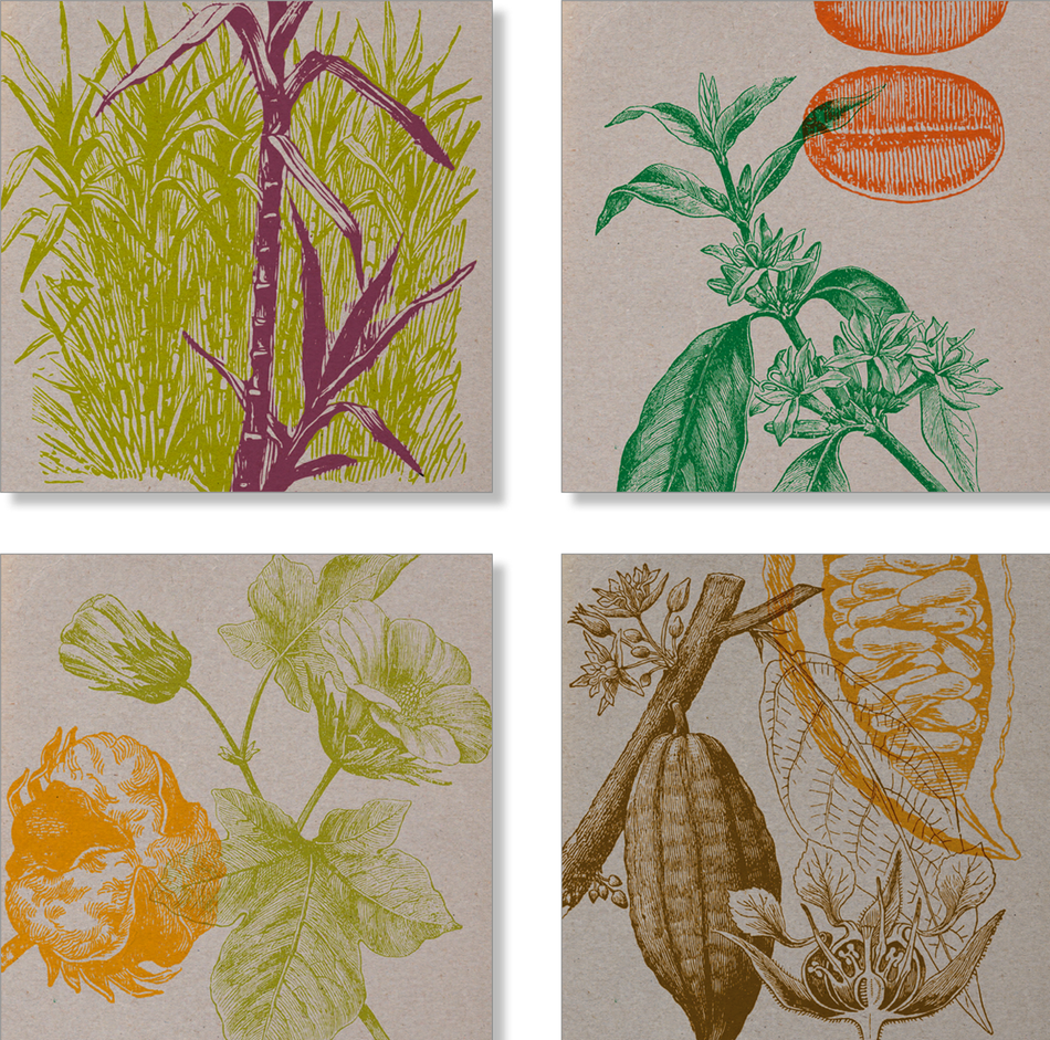 Bugiganga Tropical 7 inch double cover [Bundle]