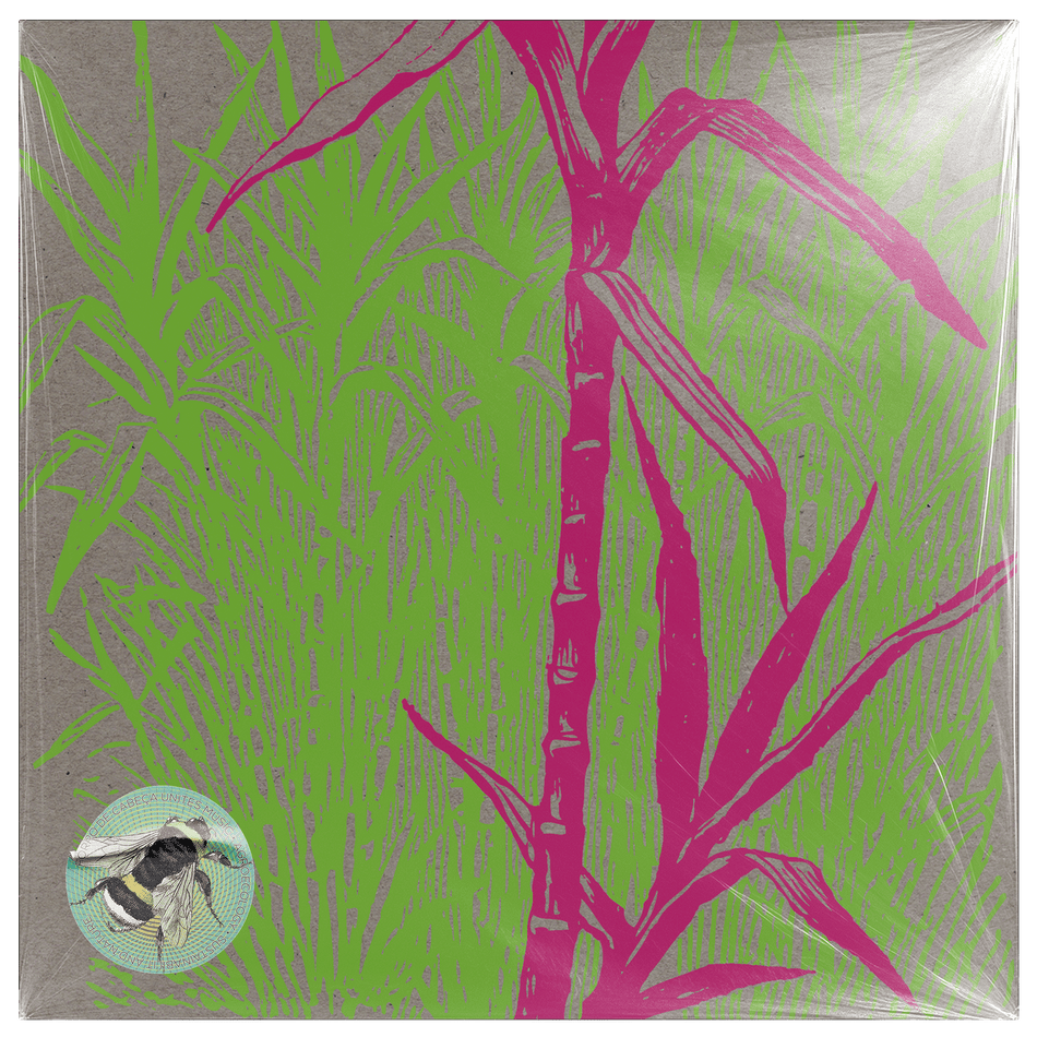Bugiganga Tropical Vol.3 by Forró De Cabeça