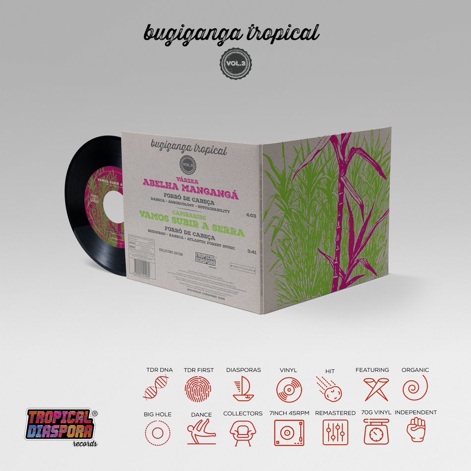 Bugiganga Tropical Vol.3 by Forró De Cabeça