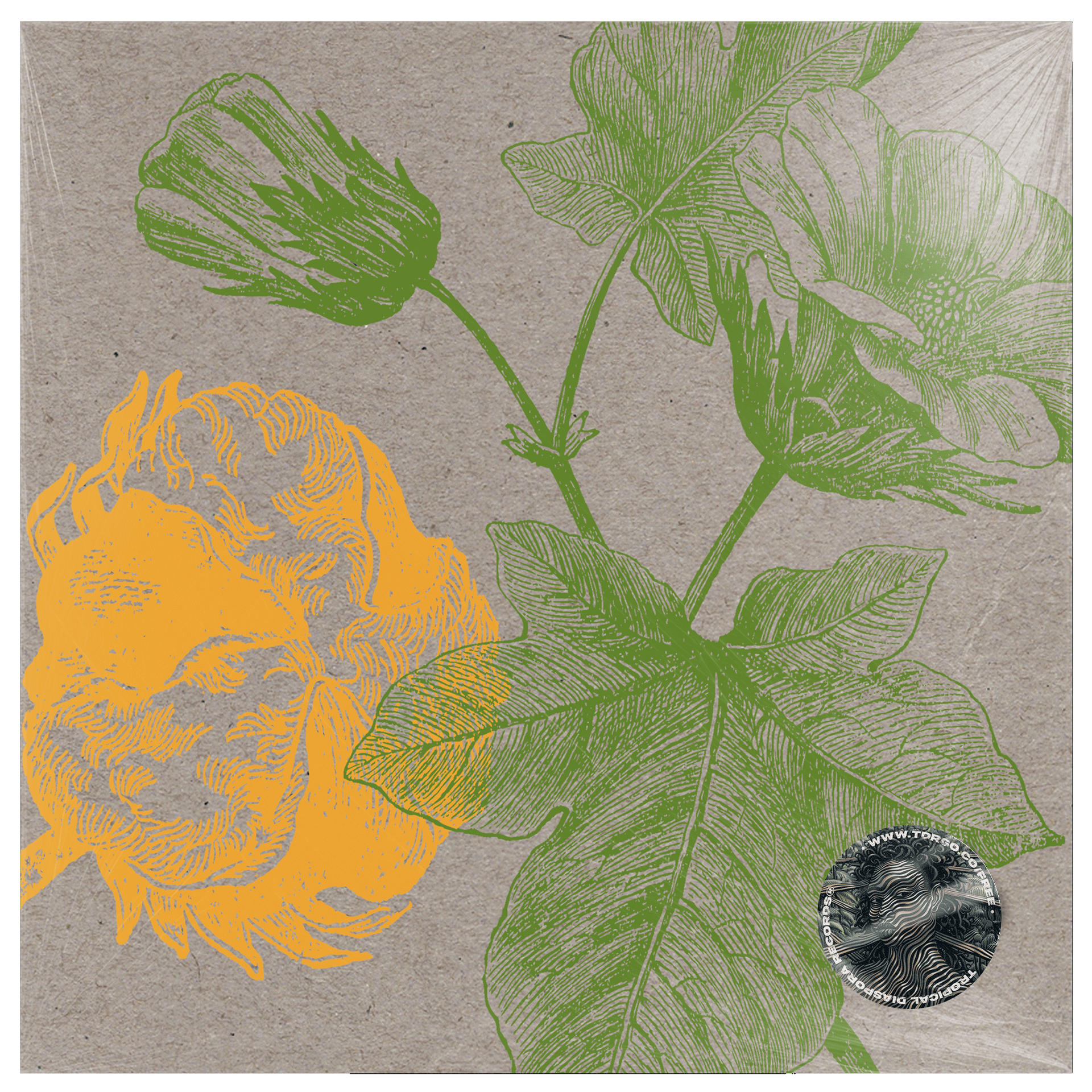 Bugiganga Tropical Vol.4 by Izzy Gordon, Carlos Casemiro, Renato