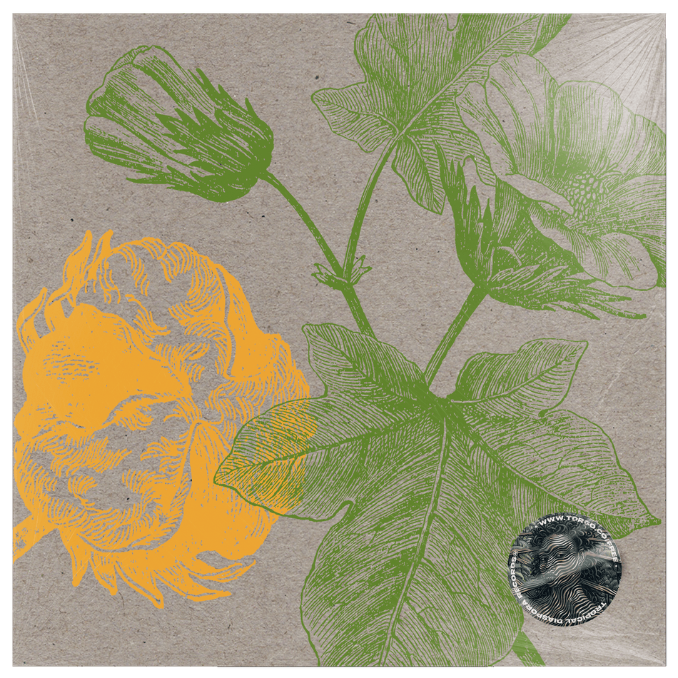 Bugiganga Tropical Vol.4 by Izzy Gordon, Carlos Casemiro, Renato Gama, Valerie and Ben Turner