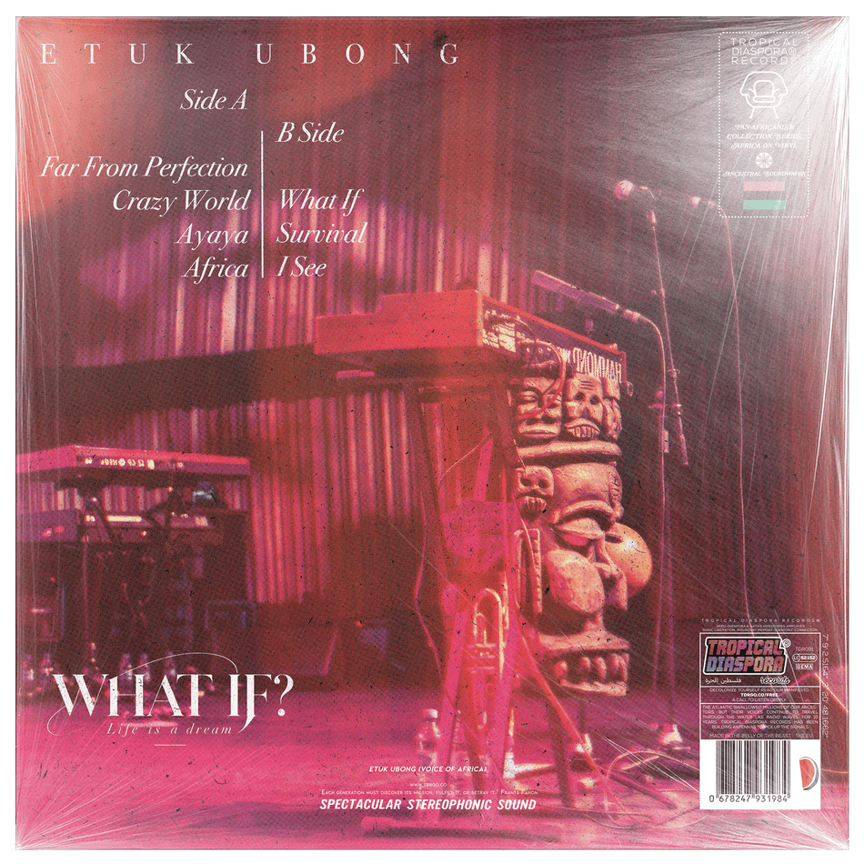 What If? Life Is A Dream by Etuk Ubong